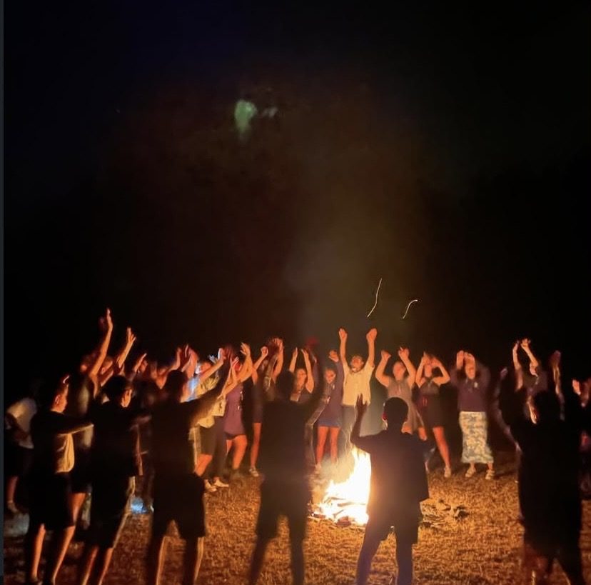 Scout - foto 7